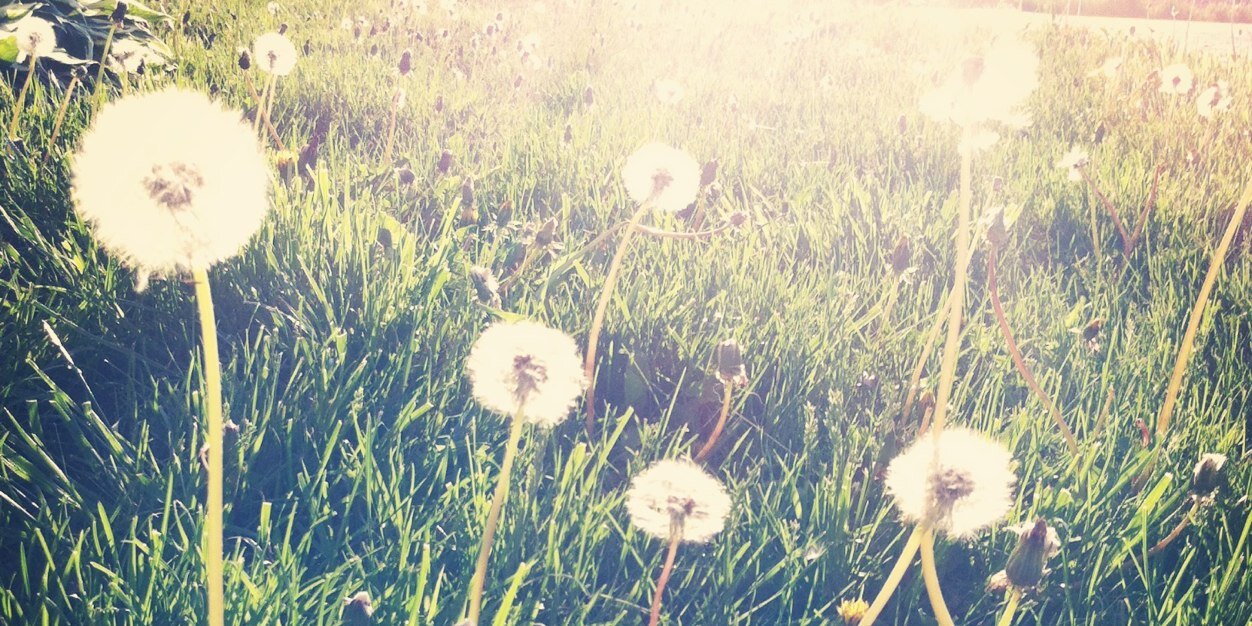 _Courters's profile banner image