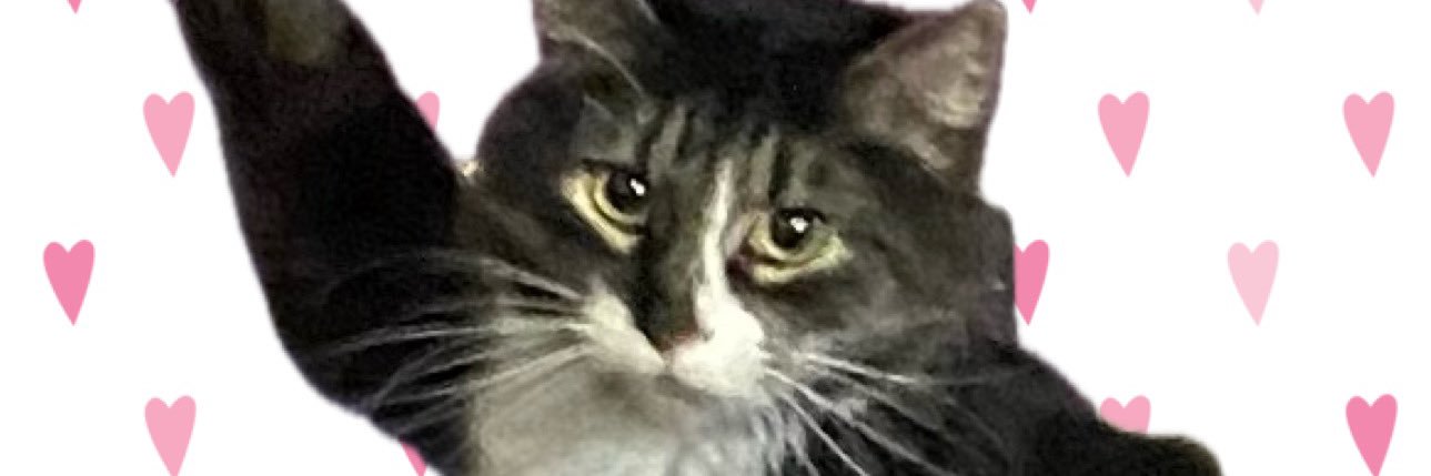Holly banner