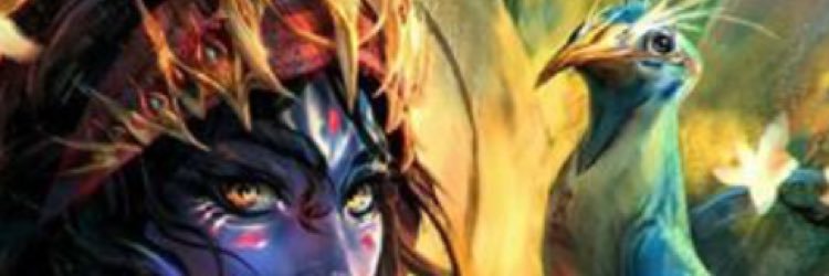 NollsTracey's profile banner image