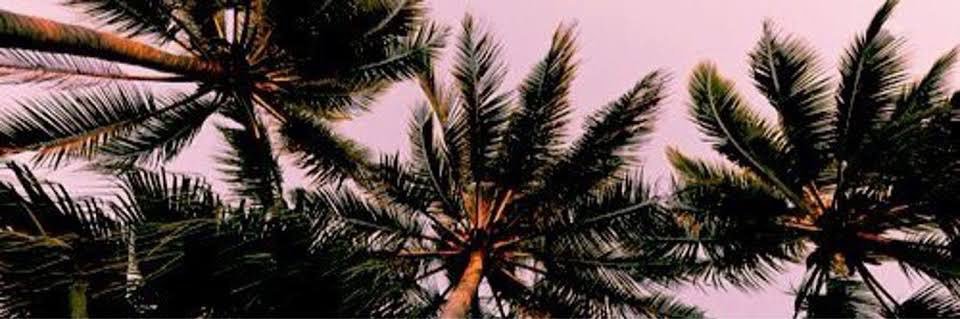 Fernando Franco banner