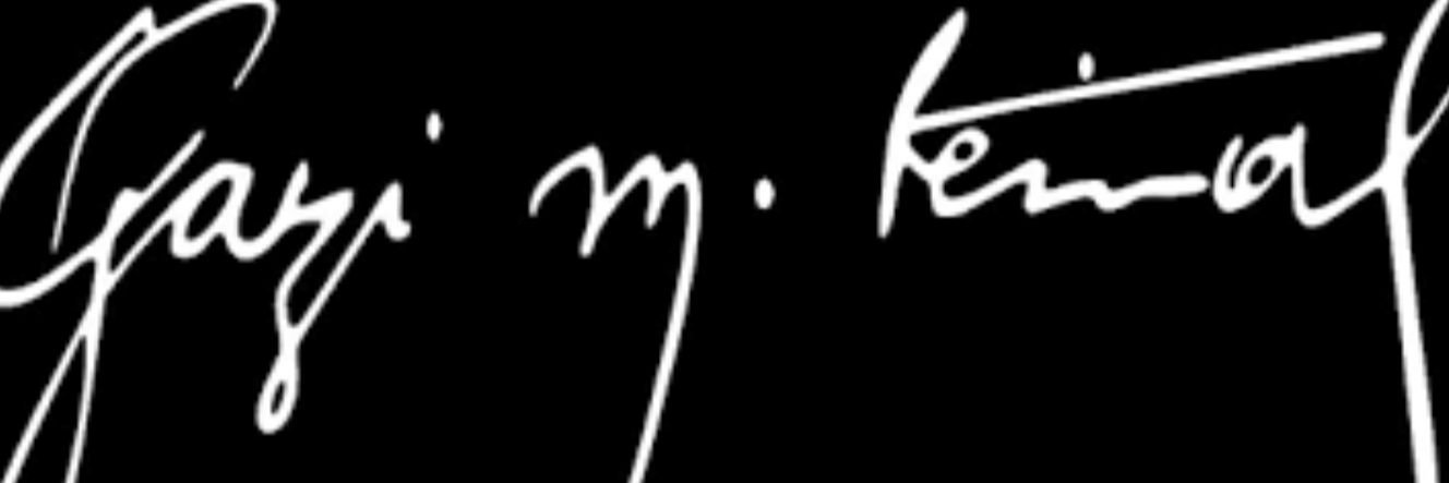 n_ulusu's profile banner image