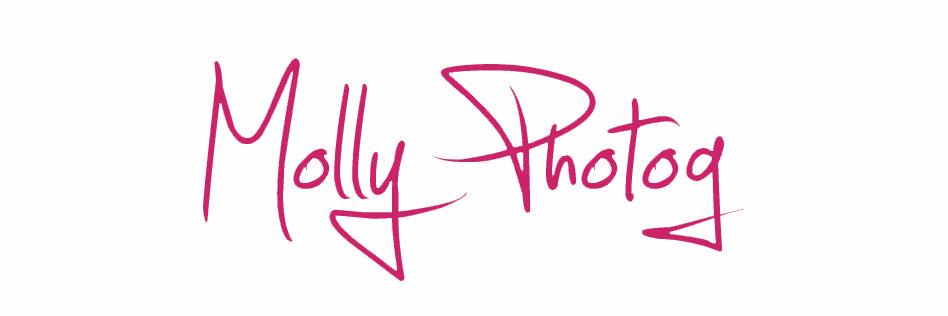 MollyPhotog's profile banner image