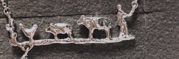 timber_kmr's profile banner image