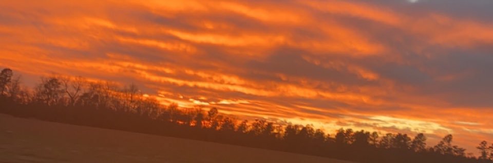 kellikells97's profile banner image