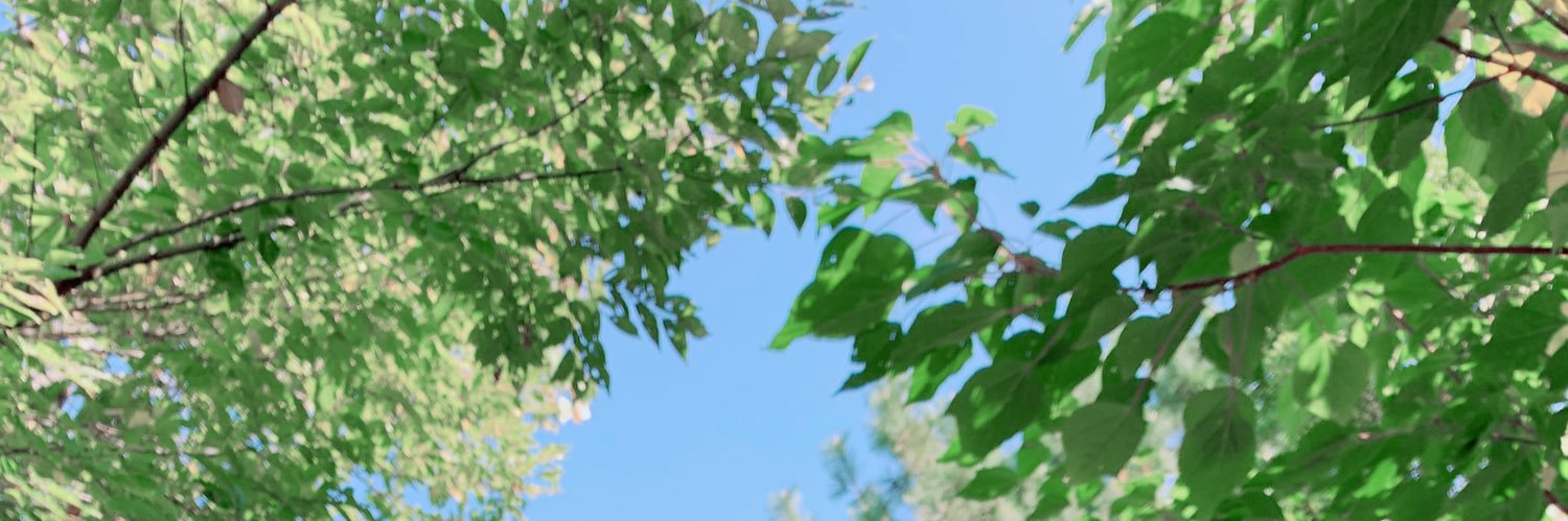 3939dango's profile banner image