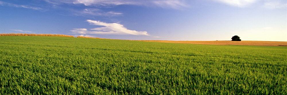 WomenOfAg's profile banner image