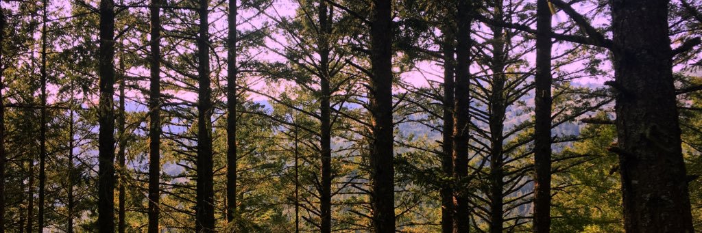 morganjean3's profile banner image
