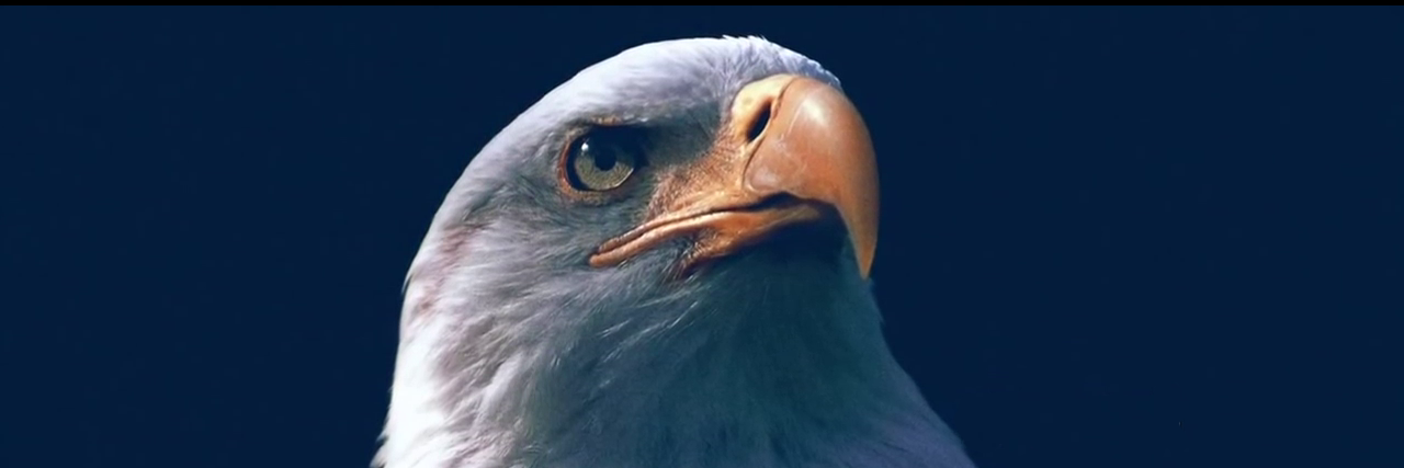 azhabi's profile banner image
