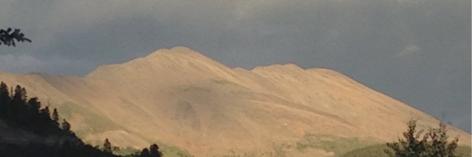 Jacob Lissek banner