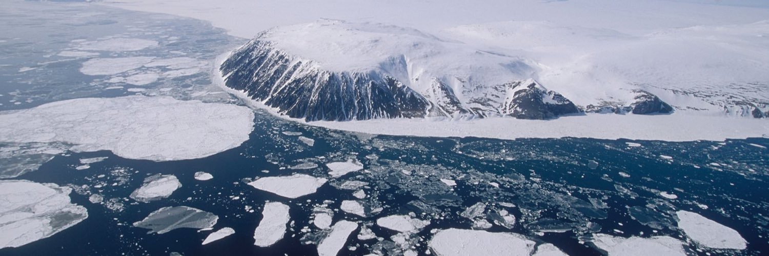 Maritime Bear 🐻‍❄️🏴‍☠️ banner