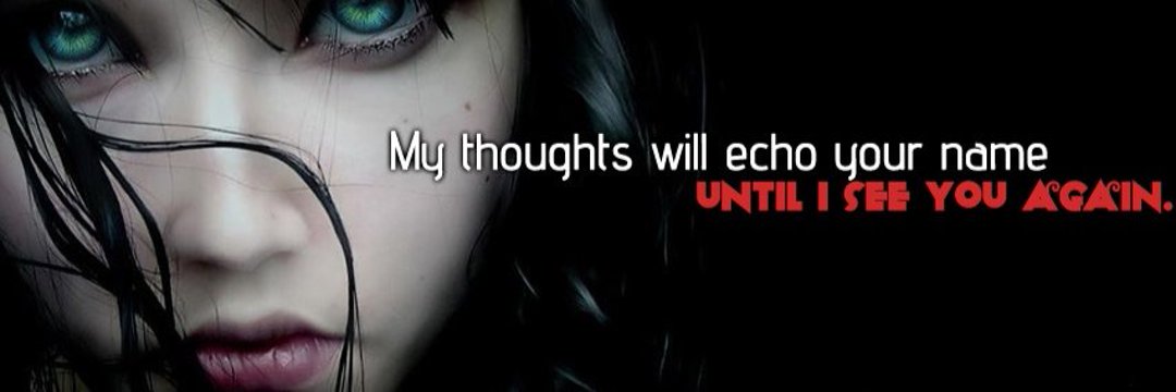 novemberfros's profile banner image
