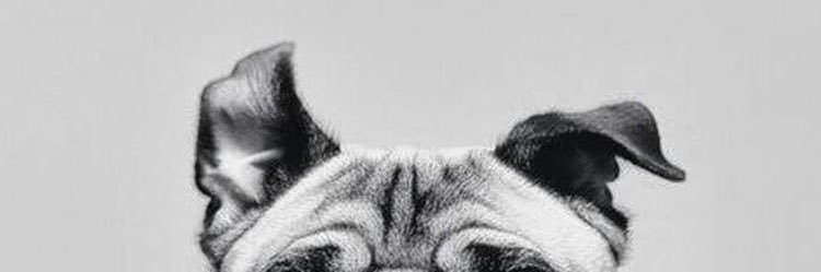 Lmi97Mi's profile banner image