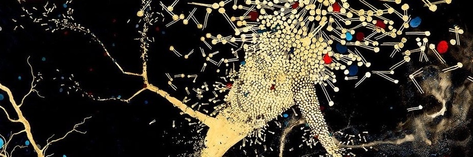 AlbatuulAlsh's profile banner image