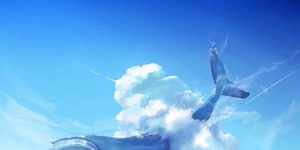 QueSeYo33's profile banner image