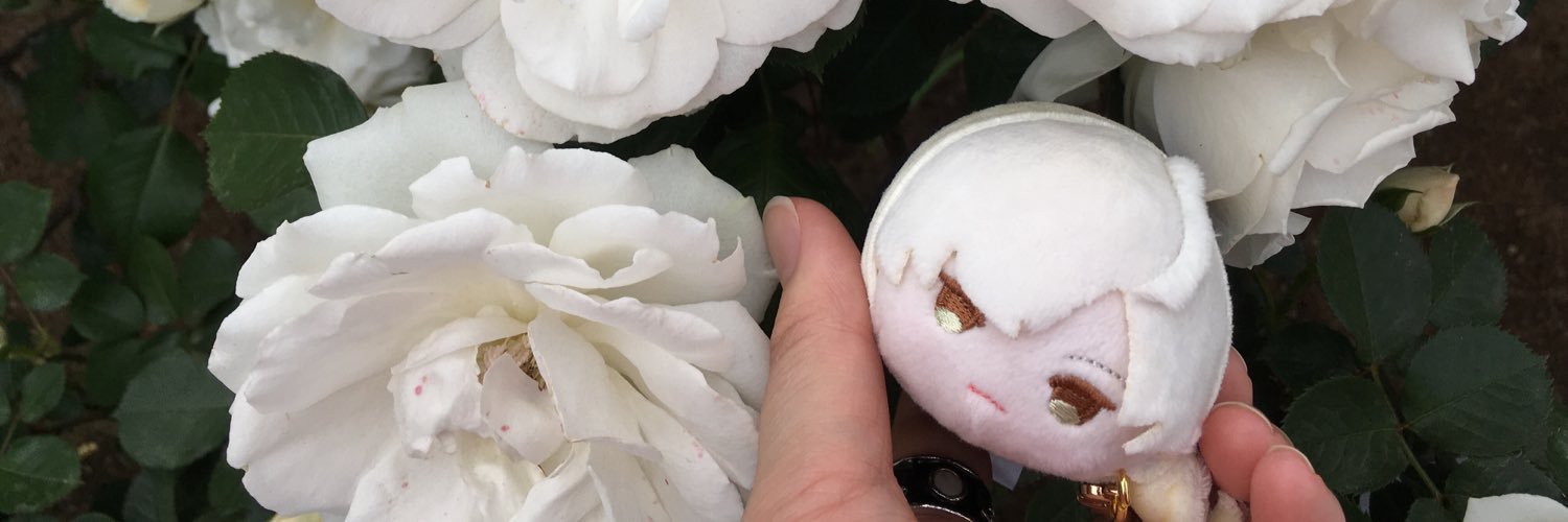 header image