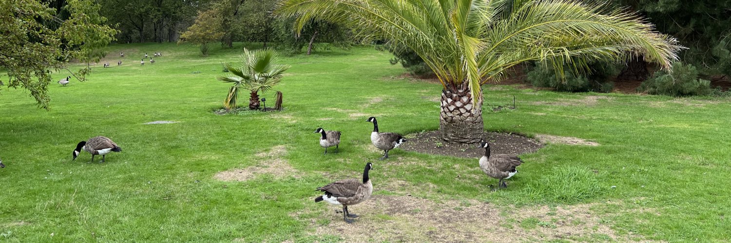 solarium rearrangement engineer banner