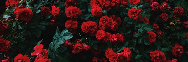 DomerRust Profile Banner