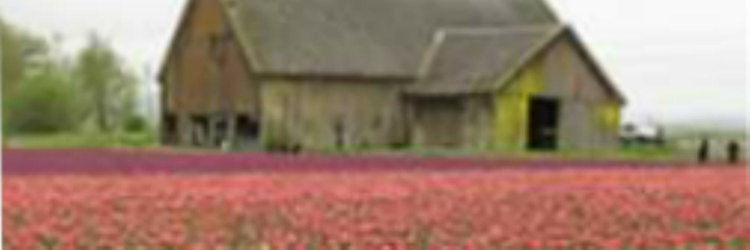 Infillinglove's profile banner image