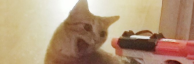 Turtlesweaters's profile banner image