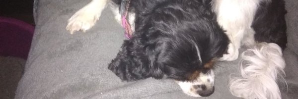 RMofFens Profile Banner