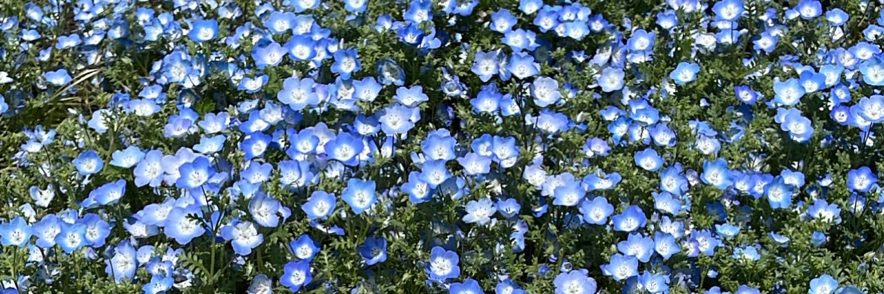 t513_JUNE's profile banner image