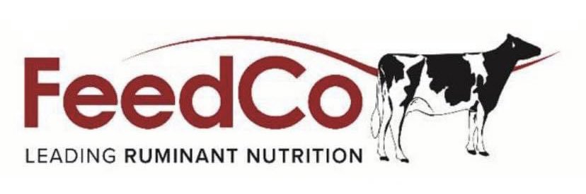Feedco7's profile banner image