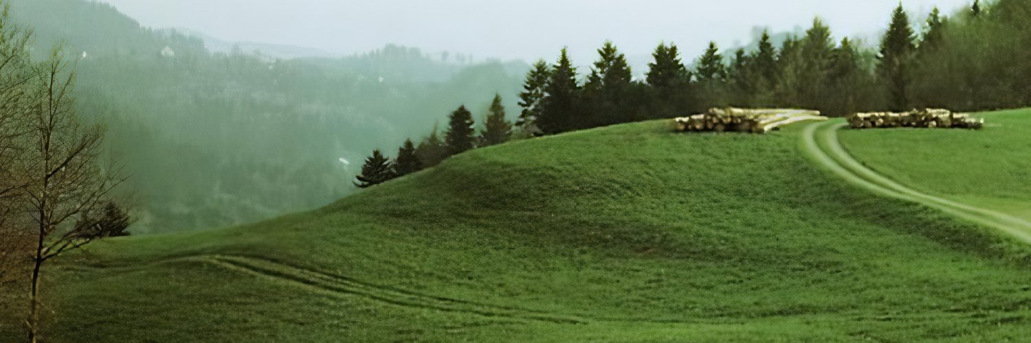 walcum's profile banner image