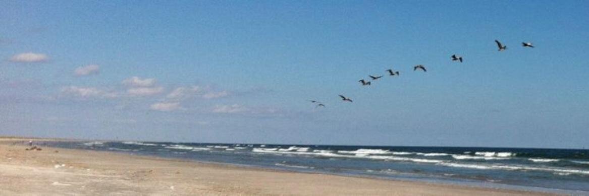 Ecumenical Center banner