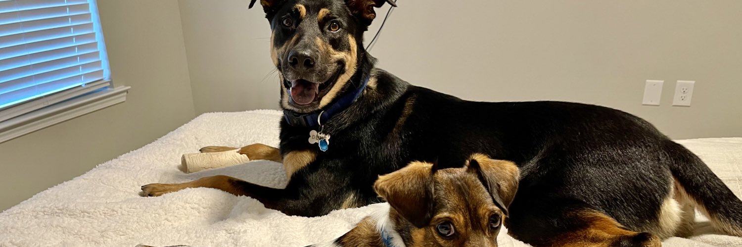 ashliedubuy's profile banner image