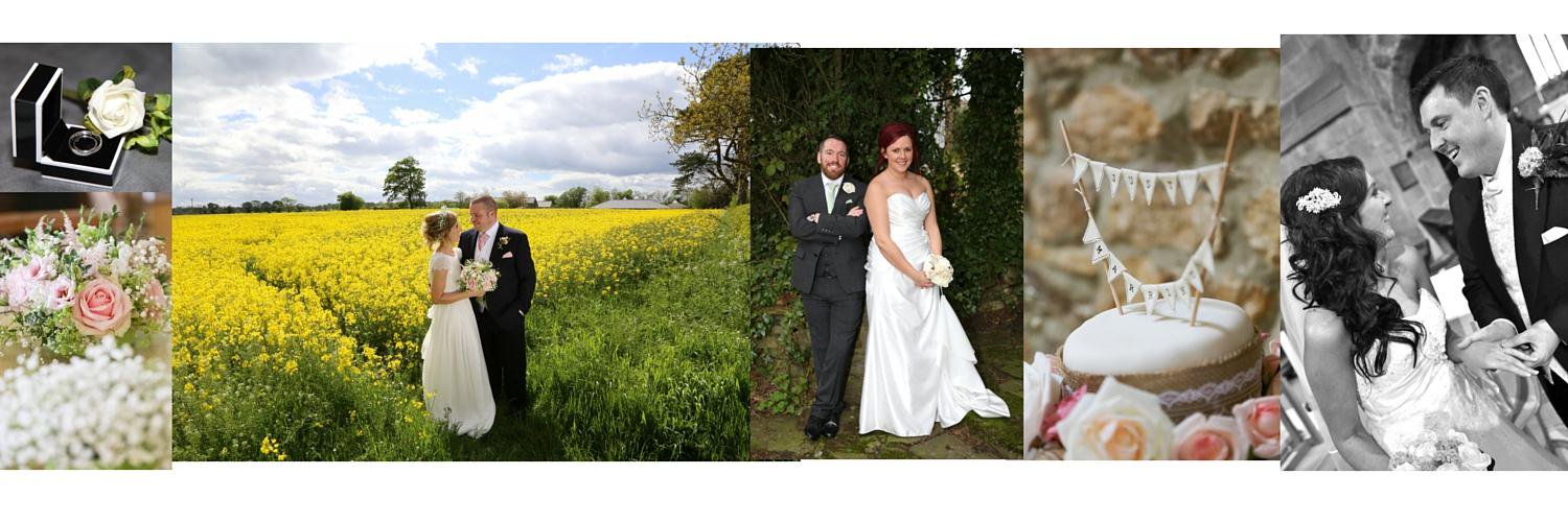 dnaphotodna's profile banner image