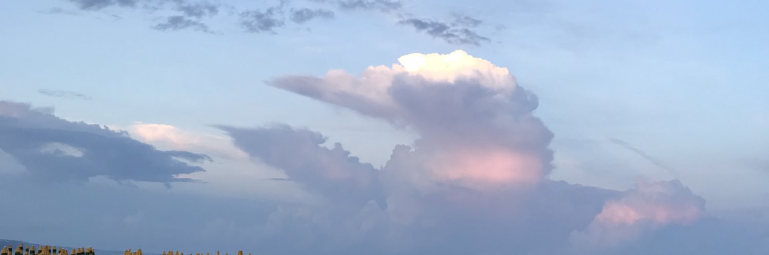 EShinkorenko's profile banner image