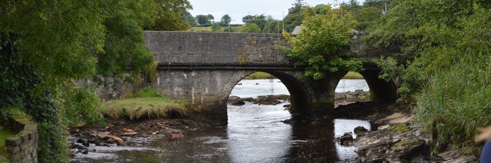 Carlene Lyttle I Social Entrepreneur I Sailespin banner
