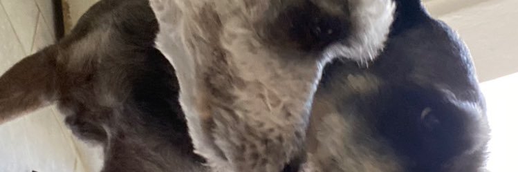 AlvaroCM25's profile banner image