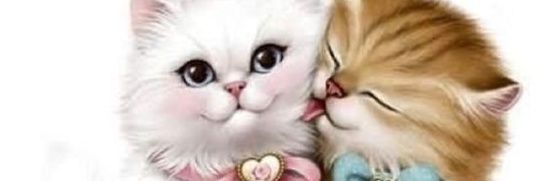 aroemthanaya's profile banner image