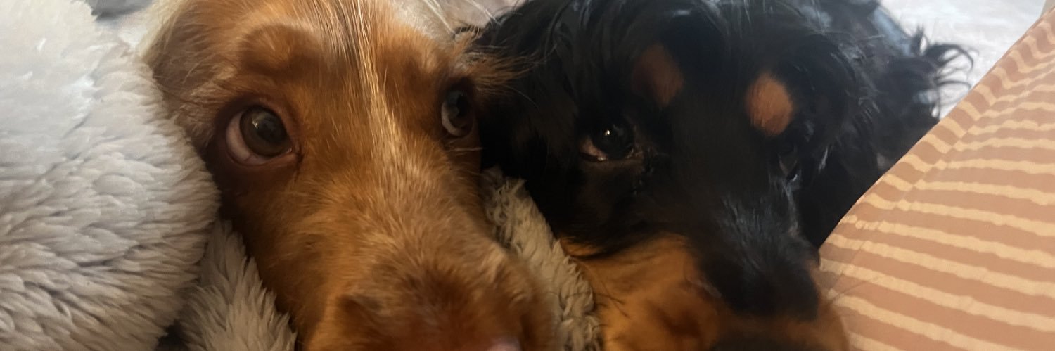 LucyLumb's profile banner image