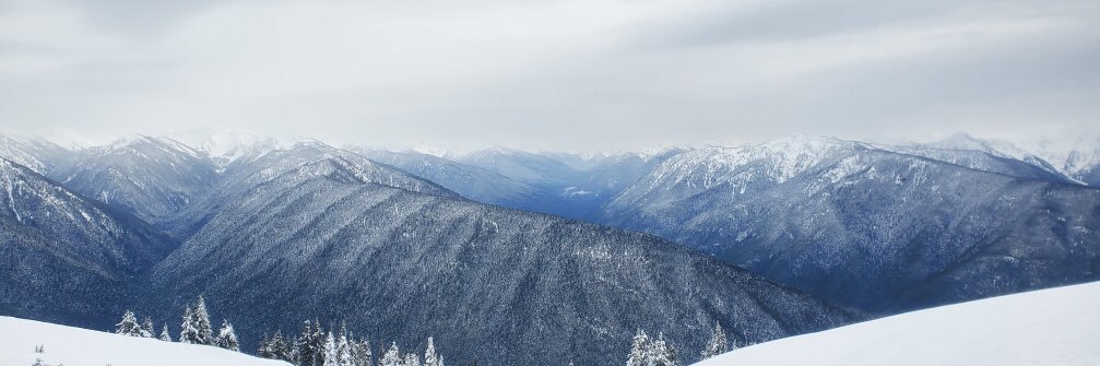 Gilly_2x's profile banner image