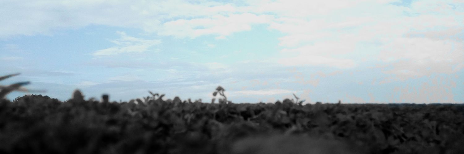 sotienooso's profile banner image