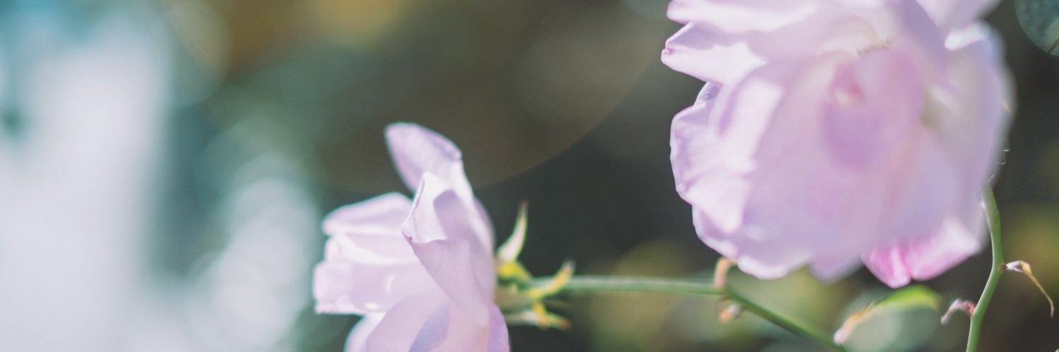 IKEDA_MIKI's profile banner image