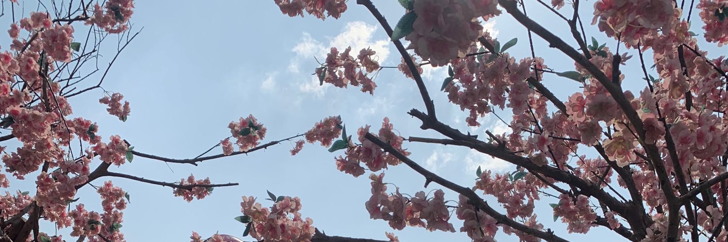astridindaap's profile banner image