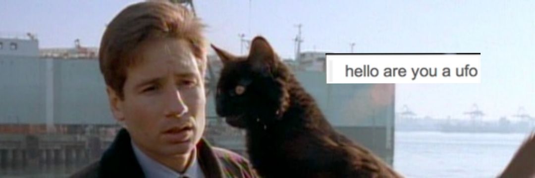 Ricolas Cage 🇮🇪 🇵🇸 banner