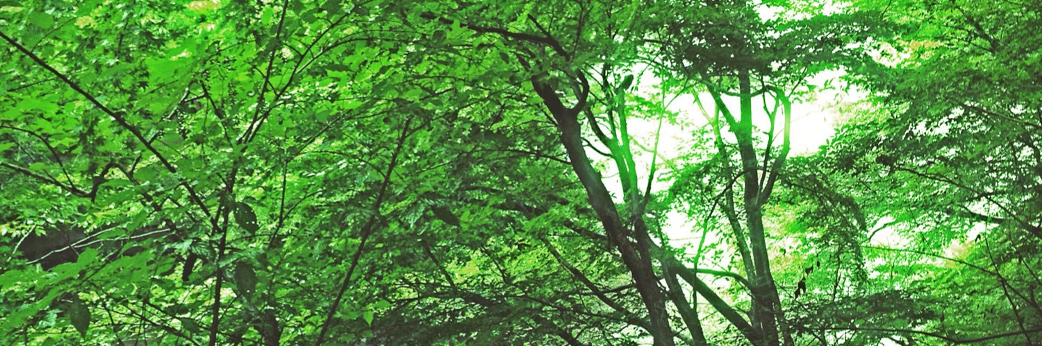 higo_d's profile banner image