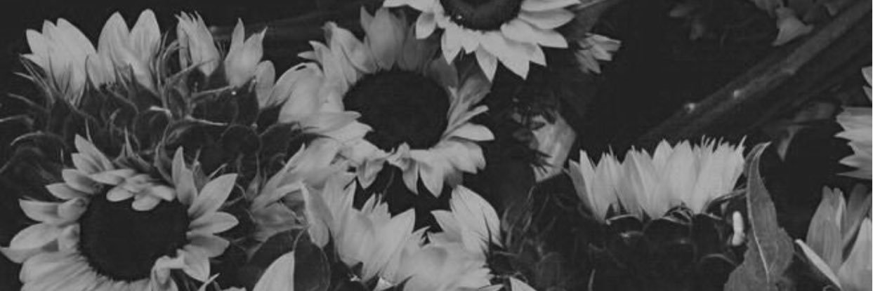 CameronRenee00's profile banner image
