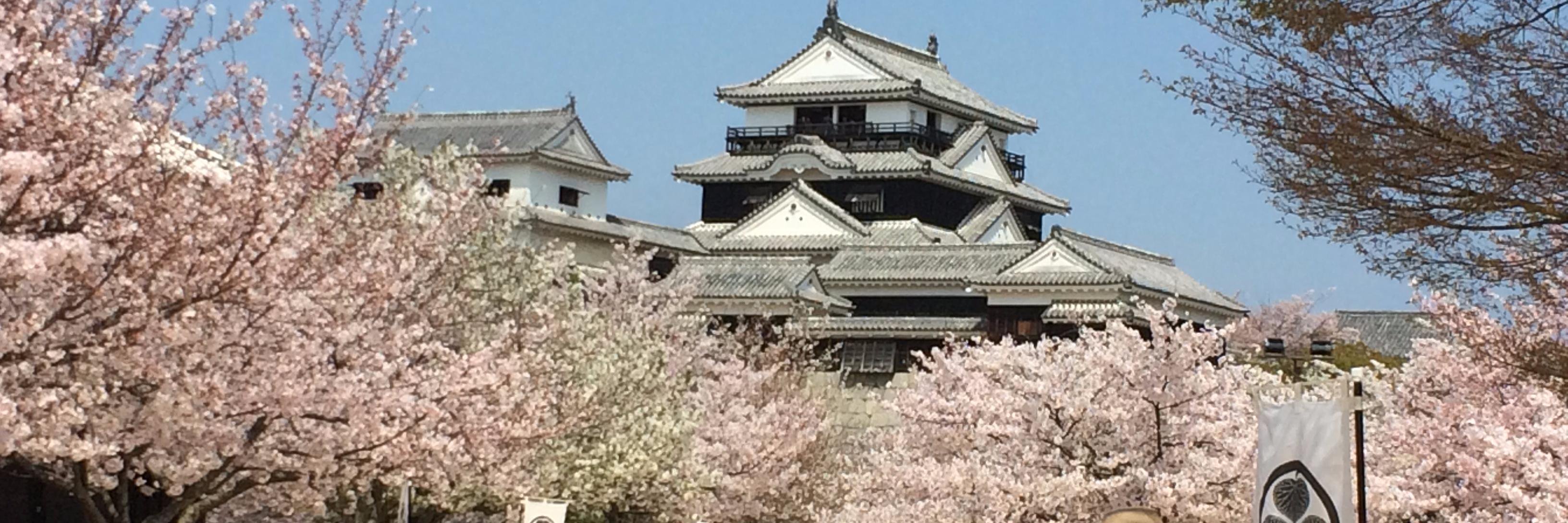 西村淳矢 banner