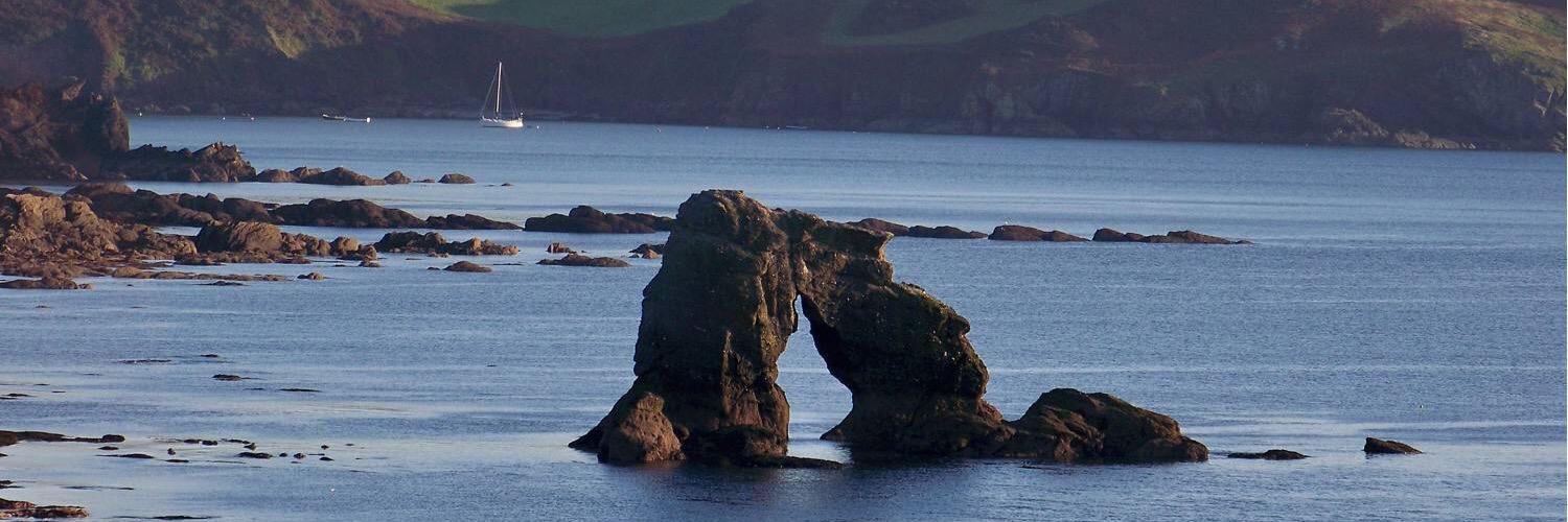 Magda Moorey💙💛 banner