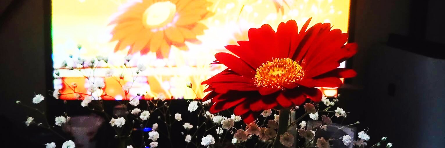 datting56's profile banner image