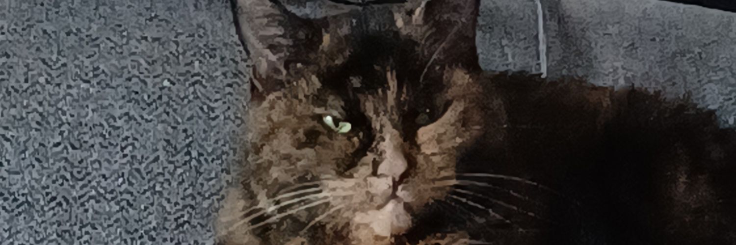 Pipsqueak200's profile banner image