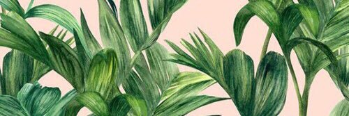 sarastroberg's profile banner image