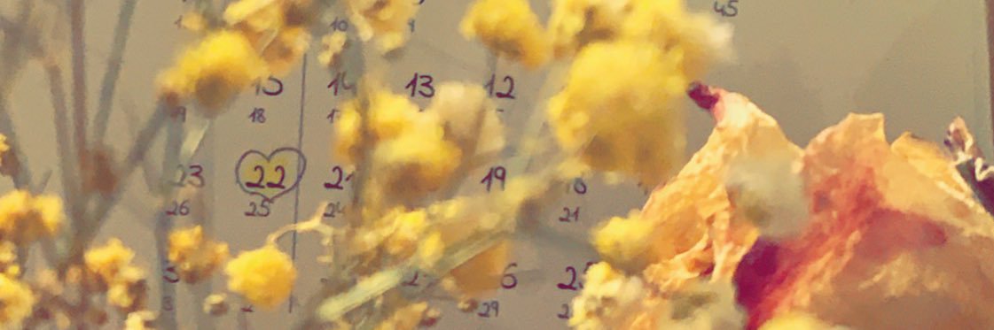 rn_noha's profile banner image