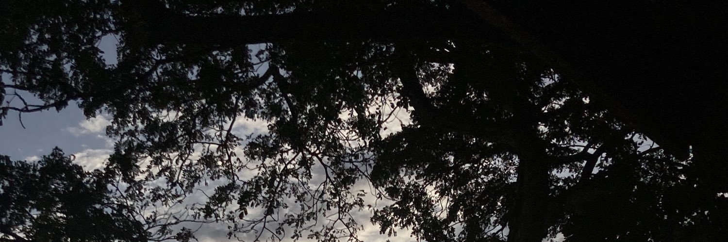 eenarchives's profile banner image