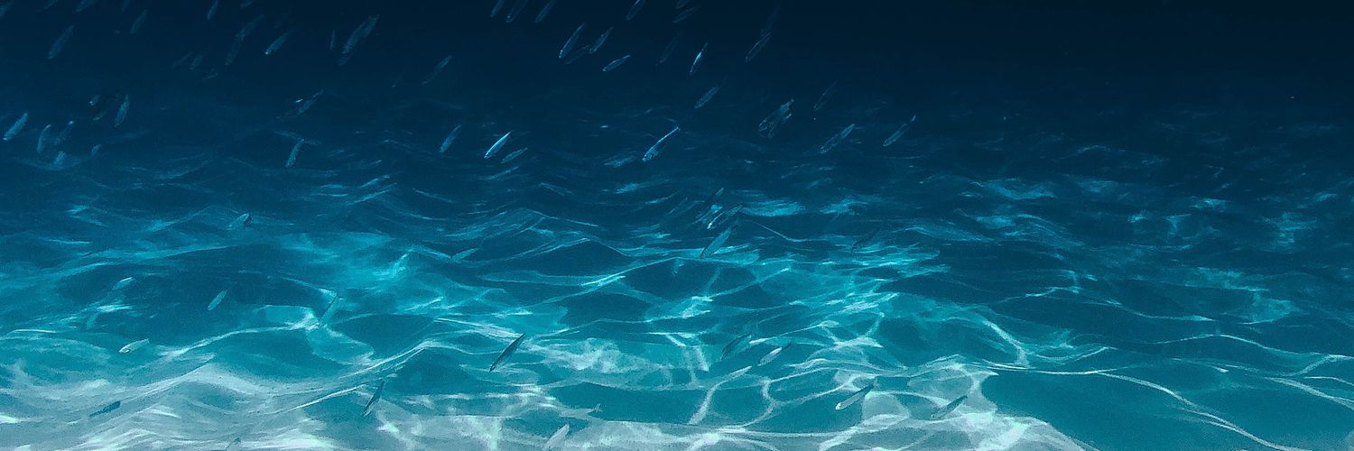 willestero's profile banner image